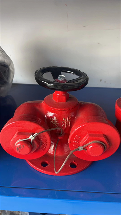 消防器材-多用式消防地上式水泵接合器地上式-SQD150-1.6