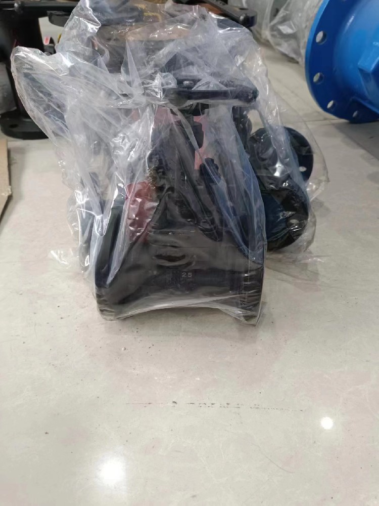 硬密封闸阀阀门